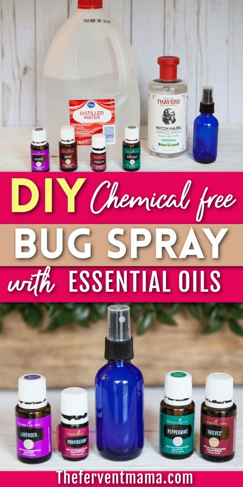 The Fervent Mama shares a DIY bug spray with essential oils. Need a bug spray but don't want harsh chemicals? Make this DIY bug spray with your favorite essential oils! It kills the bugs while making your house smell good! Young Living Bug Spray, Diy Misquote Spray, Homemade Bug Spray Essential Oils, Diy Essential Oil Bug Spray, Young Living Bug Spray Recipe, Essential Oil Bug Spray Recipe, Bug Spray Essential Oils, Diy Bug Repellent Spray, Essential Oil Sprays