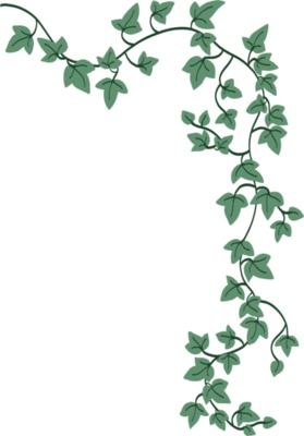 Ivy Design Illustration, Green Vines Drawing, Tree Vines Drawing, Plant Decor Drawing, English Ivy Drawing, Vine Illustration Design, How To Paint Ivy Vines Easy, How To Draw Ivy Vines Step By Step, Easy Vine Drawings