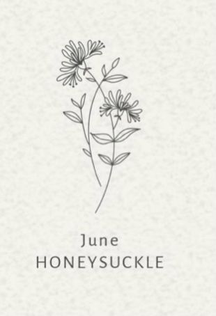 June Birth Flower Bouquet Tattoo, Gemini Birth Flower Tattoo, June Wildflower Tattoo, Honeysuckle And Marigold Tattoo, Small Honeysuckle Flower Tattoo, Honeysuckle Line Tattoo, Honeysuckle Tattoo Vines, Honeysuckle Drawing Tattoo, Honeysuckle Tattoos