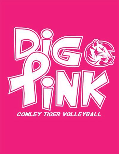 Dig pink night!! Dig Pink Volleyball Ideas, Night Volleyball, Pink Volleyball, Dig Pink, Spirit Bags, Volleyball Posters, Pink Ideas, Pink Basketball, Volleyball Shirts