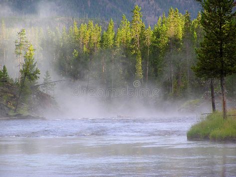 Madison River, Yellowstone N. P. Water vapor rising from Madison river in Yellow , #Aff, #Yellowstone, #Water, #Madison, #River, #vapor #ad Water Vapor, Class Pictures, Yellow Stone, Yellowstone National, Clean Water, Yellowstone National Park, Niagara Falls, Stock Images, National Parks