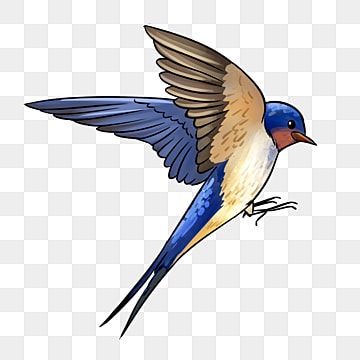 Swallow Bird Drawing Simple, Anime Birds Flying, Cartoon Bird Flying, Flying Birds Drawing, Bird Flying Illustration, Bird Flying Drawing, Flying Bird Illustration, Bird Illustration Drawing, Flying Birds Images