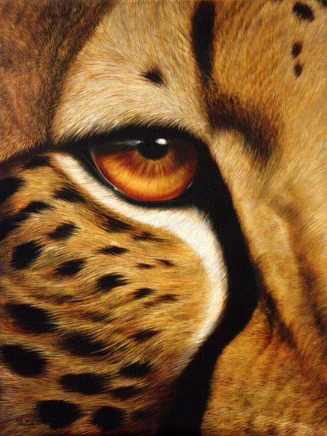 Breathtaking oil painting. The African Mona Lisa. Does anyone know the artist name? Close Up Art, Regard Animal, Cheetah Animal, Arte Animal, African Animals, Wildlife Art, Big Cats, Animal Paintings, The Eye