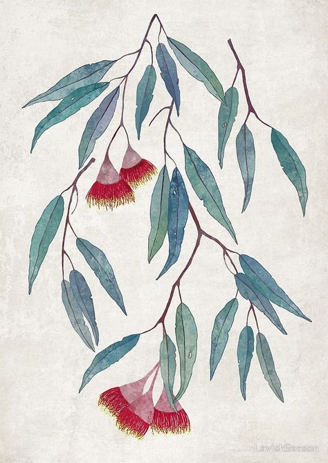 Watercolour Inspiration, Watercolor Flower Art, Australian Art, Eucalyptus Leaves, Botanical Drawings, Fiber Arts, Botanical Illustration, Art Paint, Botanical Art