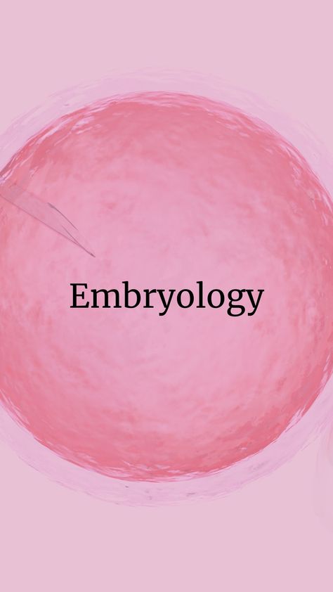 Embryology ivf blogs Embryologist Quotes, Embryologist Aesthetic, Embryology Aesthetic, Ivf Aesthetics, Biology Major, Equality And Diversity, Vision Board Photos, Fertility, Short Film