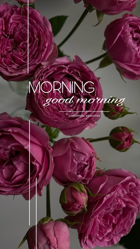 Good Morning Gift, Good Morning Posters, Good Morning Greeting Cards, Good Morning Post, Phone Wallpaper Boho, Iphone Wallpaper Hipster, Happy Good Morning Quotes, Quotes Good Morning, Beautiful Morning Messages