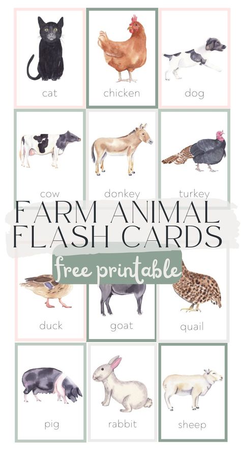 Printable Animal Pictures, Farm Animals For Kids, Animal Flash Cards, Farm Animals Pictures, Baby Flash Cards, Toddler Printables, Farm Animals Activities, Flashcards For Toddlers, Farm School