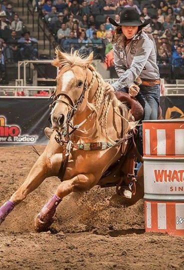 Hailey Kinsel, Barrel Racing Photography, Breakaway Roping, Steer Wrestling, Reining Horses, Cute Horse Pictures, Waka Waka, Palomino Horse, Barrel Racing Horses