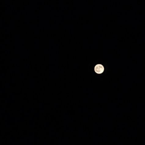 Dark phone camera play. Check that out... I can take moon pics with pro settings. #moon #photography Moon Camera, Moon Pics, White Moon, Moon Pictures, Moon Photography, Phone Camera, Moon, Photography, Quick Saves