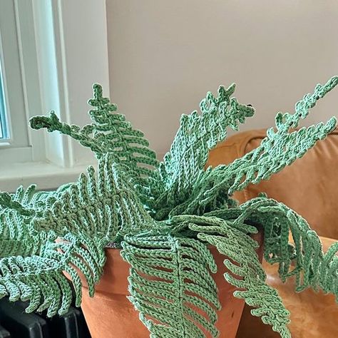 LCK Crochet on Instagram: "Meet my new best friend Fernadette Peters 🪴 My record for keeping plants alive is about 0-100 but I think this one could turn it all around!!! Made with Lily’s cotton and the 70s Hanging Fern pattern ✌🏼 plus some @lionbrandyarn coboo for dirt you can’t see because I’m extraaaa 💅🏻 #lckcrochet #crochet #crochetplant #crochethome #crochethomedecor #crocheter #crocheting #crocheted #crochetallday #crochetlove #crochetgirlgang #crochetlife #igcrochet #crochetfern #fern Crochet Plants Patterns, Crochet Potted Plants, Crochet Hanging Plants, Crochet Fern, Fern Crochet, Crochet Fern Leaf Free Pattern, Plant Crochet Pattern Free, Crochet Fern Plant Free Pattern, Crochet Plant Pattern