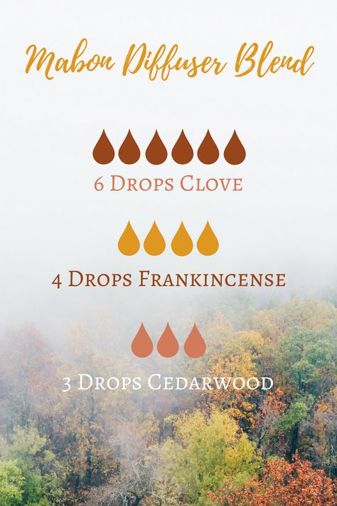 Mabon (Autumn Equinox) Essential Oil Diffuser Blend | The Witch of Lupine Hollow. #Mabon #fall_equinox #oils Fall Essential Oils, Fall Diffuser Blends, Essential Oil Combinations, Essential Oil Diffuser Blends Recipes, Essential Oil Diffuser Recipes, Oil Diffuser Recipes, Essential Oil Mixes, Essential Oil Blends Recipes, Diffuser Blend