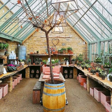 Inside Greenhouse Ideas Inspiration, Greenhouse Inside Ideas, Greenhouse Set Up Inside, Functional Greenhouse, Greenhouse Shelving Ideas, Diy Greenhouse Shelves, Greenhouse Shelving, Green House Ideas, Greenhouse Staging