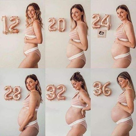 Pregnancy Progress Pictures, Vom Avea Un Copil, Baby Bump Pictures, Pregnancy Belly Photos, Bump Pictures, Cute Pregnancy Pictures, Pregnancy Progression, Pregnancy Bump, Belly Photos