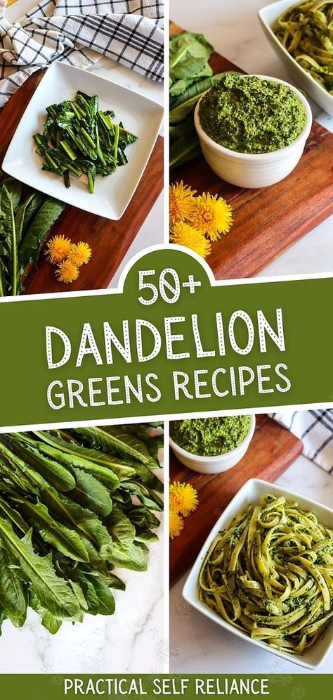 Unlock the potential of early spring with our collection of 50+ Dandelion Greens Recipes, a must-try in Dandelion Recipes. From dandelion pesto to simple sautés, these edible wild greens add flavor and nutrition to any meal. Perfect for foragers and health enthusiasts alike. Explore more on wild food foraging, spring seasonal foods, and healthy spring recipes at practicalselfreliance.com. Dandelion Greens Recipes, Dandelion Uses, Spring Foraging, Greens Recipes, Healthy Spring Recipes, Dandelion Benefits, Dandelion Greens, Food Foraging, Edible Flowers Recipes