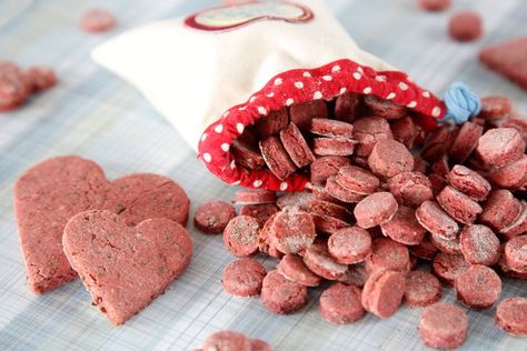 Salmon Dog Treats, Dog Biscuit Recipes, Dog Training Treats, Training Treats, Dog Biscuits, Dog Recipes, Dog Treat Recipes, Dog Training Obedience, Healthy Dog Treats