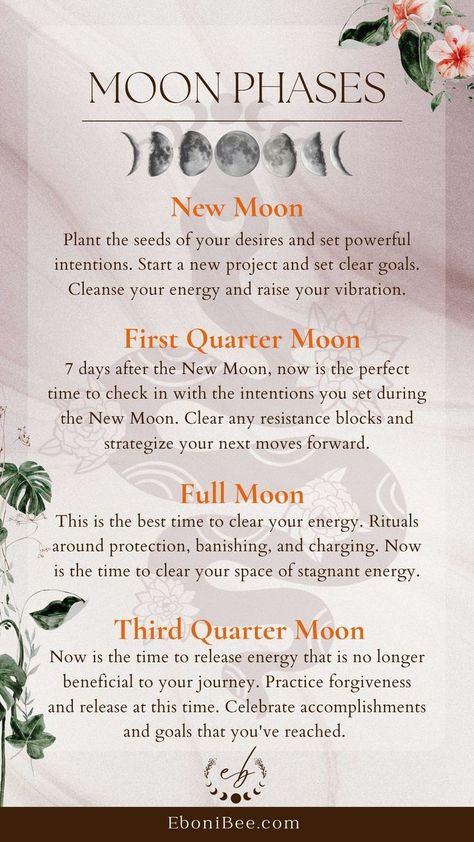 Lunar Energy is powerful to work with. Check out the cheatsheet to learn about the meaning of the phases so that you can work with the energy in your favor. Moon Phase Meaning, Moon Phases Meaning, Full Moon Meaning, Moon Plant, Lunar Energy, Moon Meaning, Lunar Magic, New Moon Rituals, Moon Witch