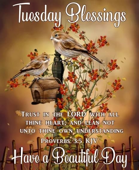 Birdhouse Tuesday Blessings tuesday quotes tuesday blessings morning nights days tuesday images tuesday pic daily bible verse Tuesday Morning Prayers, Good Morning Tuesday Blessings, Funny Tuesday, Tuesday Pictures, Tuesday Quotes Good Morning, Tuesday Greetings, Monday Pictures, Tuesday Blessings, Happy Tuesday Quotes