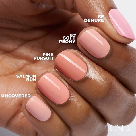 CND on Instagram: “Want to see how our new shade, Soft Peony, compares to the rest of the shades in your color portfolio? We bring you, Swatch and See! Thumb…” Cnd Shellac Nails Summer, Nail Colours 2023, Colours 2023, Gel Shellac Nails, Pink Shellac, Cnd Shellac Colors, Shellac Nails Fall, Shellac Nail Colors, Cnd Shellac Nails