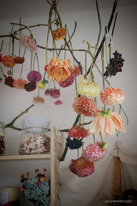 Flower Drying, Dahlia Flowers, Book Flowers, Dry Hands, Pressed Flowers, My Flower, Dahlia, Flower Power, Dried Flowers