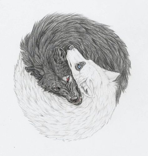 Tatoo Dog, Yin Yang Tattoos, Sketch Books, Wolf Drawing, Wolf Tattoos, Wolf Tattoo, Yin And Yang, Anime Wolf, Wolf Art