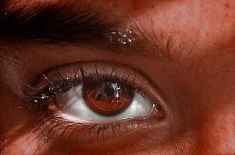 Amber Eyes Dark Skin, Reddish Brown Eyes, Russet Eyes, Russet Brown Eyes, Red Eye Aesthetic, Dark Amber Eyes, Red Brown Eyes, Dark Red Eyes, Amber Eyes Color