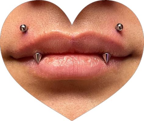 Angle Bite Fangs Piercing, Angel Bite Piercing Fangs, Gold Piercings Aesthetic Face, Angle Fangs Piercings, Angel Fang Piercing, Smiley Piercing Fangs, Fang Piercing, Angel Fangs Piercing, Bottom Lip Piercing