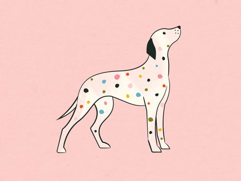 Dalmatian by Shelby Warwood on Dribbble Dalmatian Illustration, Dog Stories, Portfolio Site, North Vancouver, Summer Activities For Kids, Design Jobs, Graphic Design Branding, Graphic Design Typography, Design Assets