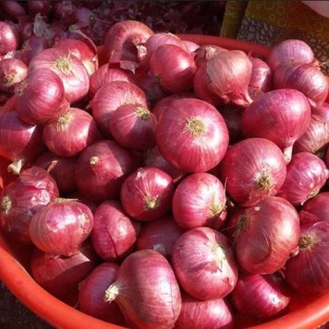 Onion Benefits, Onion Benefits Health, Raw Onion, Onion Juice For Hair, Types Of Onions, Maryland Blue Crab, Onion Bulbs, Vegetable Benefits, Onion Juice