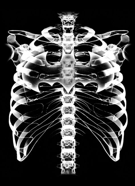 TORAX DC XRAY on Behance Skeleton Xray Aesthetic, X Ray Photography, X Ray Wallpaper, X Ray Aesthetic, Skeleton Xray, Super Hero Logo, Xray Art, Windows To The Soul, Hero Logo