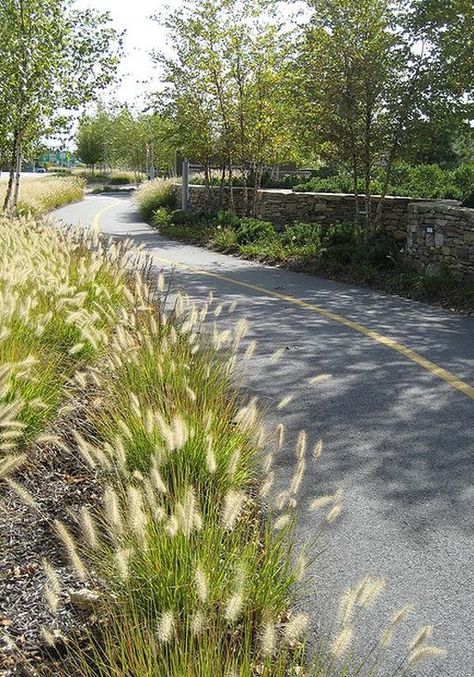 Streetscape Design, Kempinski Hotel, Linear Park, Areas Verdes, Landscape Elements, Bike Path, Rain Garden, Green City, Street Design