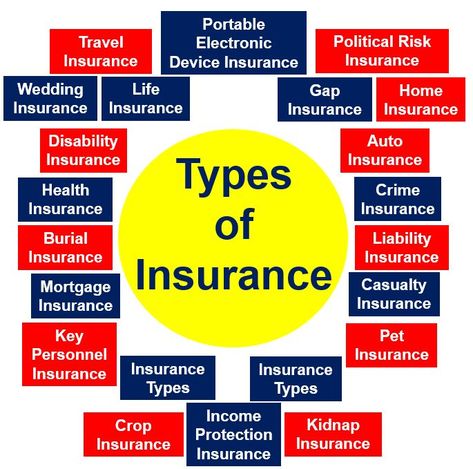 Commercial Insurance Meaning Accident Insurance, Exam Guide, Commercial Insurance, Insurance Broker, Liability Insurance, Health Insurance Plans, Life Insurance Policy, Insurance Agency, Insurance Coverage