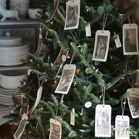 Diy Photo Ornaments, Photo Christmas Tree, Tree Themes, Memory Tree, Creative Christmas Trees, Cottage Christmas, Photo Ornaments, Noel Christmas, Christmas Tree Themes