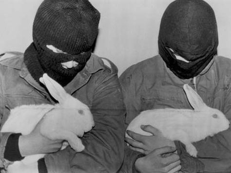 . Arte Punk, Animal Liberation, Animal Rights, Going Vegan, Rabbits, Art Reference, Historical Figures, Mask, Black And White