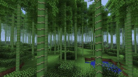 Minecraft Bamboo Forest, Biomes O Plenty, Minecraft Biomes, Bamboo Interior, Minecraft Update, Building Reference, Minecraft Interior, Minecraft Interior Design, Minecraft Pictures