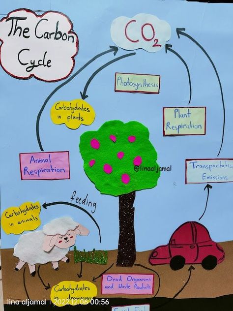 Carbon Cycle Project, The Carbon Cycle, Carbon Cycle, Photosynthesis, Environmental Science, Teaching Science, Science Projects, Relatable Quotes, Carbon Emissions