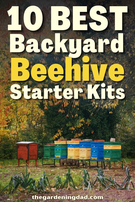 How To Make Beehives Diy Projects, How To Make A Bee Hive, Bee Skep House, Bee Hive Kits, Honey Bee Farming, Backyard Beehive, Farmer In The Dell, Bee Business, Bee Farming