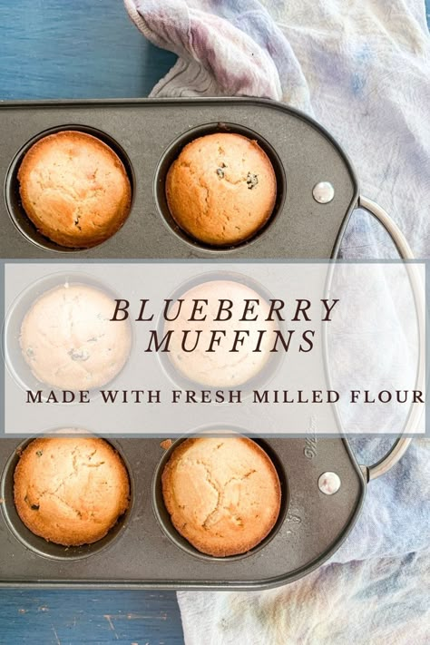 Fresh Milled Pumpkin Muffins, Fresh Milled Flour Blueberry Muffins, Fresh Milled Muffin Recipes, Freshly Milled Flour Muffins, Fresh Milled Muffins, Fresh Milled Flour Muffins, Milled Flour Recipes, Fresh Milled Flour Recipes, Milling Grains