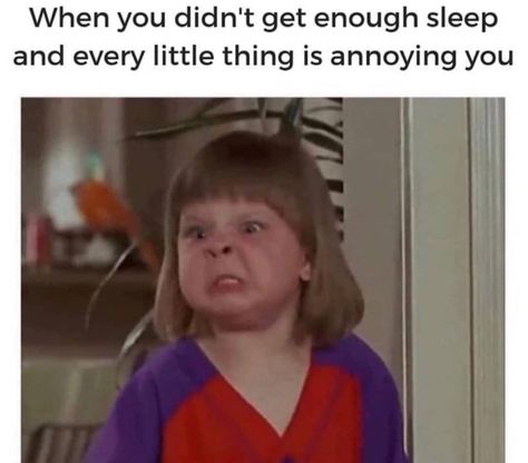 #funnymemes #memes #funny #nosleep #angry #lmao #lol #haha Annoyed Meme, Single Humor, Beth Moore, Memes Sarcastic, Joke Of The Day, Memes Humor, Humor Memes, Mood Humor, Funny Relationship