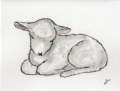 Wolf And Sheep Drawing, How To Draw A Lamb Step By Step, Shepherd And Sheep Drawing, Sleeping Lamb Drawing, How To Draw A Lamb, Baby Lamb Drawing, Sheep Sketch, Peacock Sketch, Sheep Watercolor