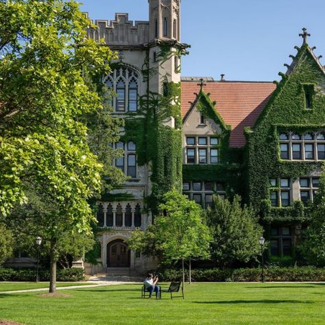 The University of Chicago University Of Chicago Aesthetic, Chicago Aesthetic, Chicago University, Dream Dream, University Of Chicago, Dream College, The University Of Chicago, Country Side, University Campus