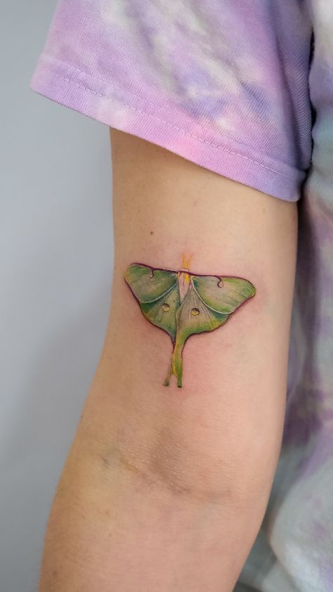 Tiny Luna Moth Tattoo, Luna Moth Tattoo Color, Moth Tattoo Color, Lunar Moth Tattoo, Pink Flower Tattoos, Luna Moth Tattoo, Luna Tattoo, Collarbone Tattoo, Lunar Moth