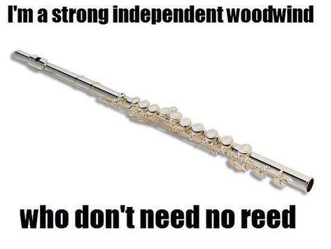 Flute Humor, Flute Jokes, Flute Memes, Funny Band Jokes, Band Puns, Lucky Ducks, Marching Band Jokes, Flute Problems, Funny Band