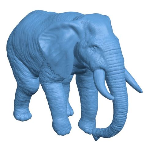 Elephant B0012129 3d model file for 3d printer – Free download 3d model Files 3d Elephant, Human Vector, Cnc Wood Carving, 3d Toys, Cnc Art, 3d Printing Art, Indian Elephant, Elephant Head, Wood Carving Art