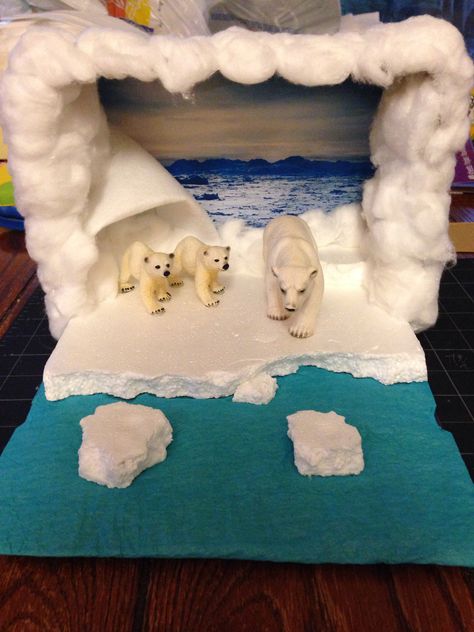 Reed's Polar Bear Diorama! Polar Bear Habitat Project, Polar Bear Habitat Project Kids, Polar Diorama, Tundra Diorama, Polar Bear Diorama, Bear Diorama, Animal Diorama, Polar Bear Habitat, Science Crafts For Kids