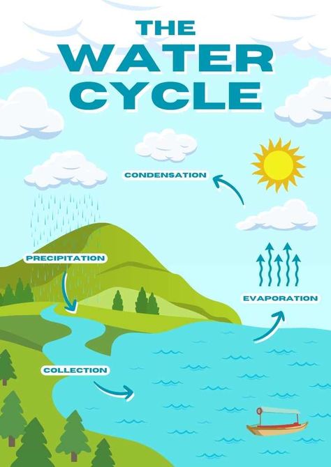 The Water Cycle English Poster Water Cycle Aesthetic, Water Cycle Craft, Water Cycle For Kids, Water Cycle Poster, Water Cycle Experiment, Water Cycle Project, Water Cycle Activities, English Poster, Stem Projects (early Elementary School)