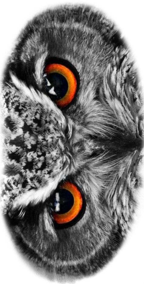 Owl Eye Tattoo Design, Owl Face Tattoo Design, Owl Eyes Tattoo Design, Owl Eyes Drawing, Animal Eyes Tattoo, Owl Eyes Tattoo, Owl Neck Tattoo, Owl Forearm Tattoo, Owls Eyes