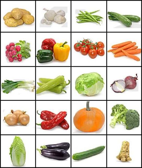 images of vegetables and their names | Can you name the vegetables by their picture? Quiz by when_flies_pig ... Name Of Vegetables, Vegetable Crafts, Kids Vegetables, Vegetable Pictures, Food Activities, Food Pyramid, Fruit And Veg, Kids Nutrition, Fruits And Vegetables