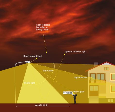 Light Pollution Diagram Cadette Badges, Low Light House Plants, Lighting Concepts, Architectural Lighting, School Grades, Light Pollution, Dark Sky, Direct Lighting, Public Education