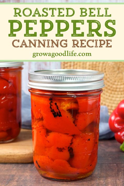 Ways To Preserve Bell Peppers, Bell Pepper Preserving, How To Can Roasted Red Peppers, Canned Roasted Peppers, Canning Bell Peppers Recipes, Preserving Bell Peppers, Canning Roasted Red Peppers, Canning Bell Peppers, How To Roast Peppers