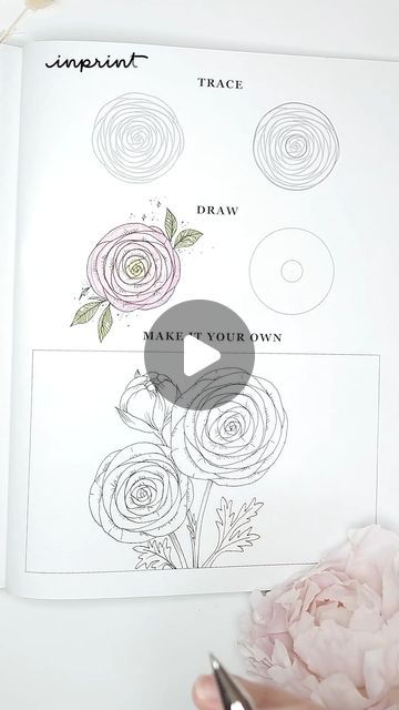 Ranunculus Drawing, Instagram Drawing, Ranunculus, Drawings, Flowers, Floral, On Instagram, Instagram